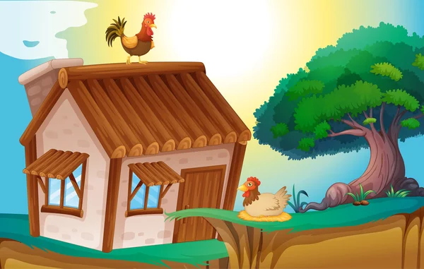 Kippen en huis — Stockvector