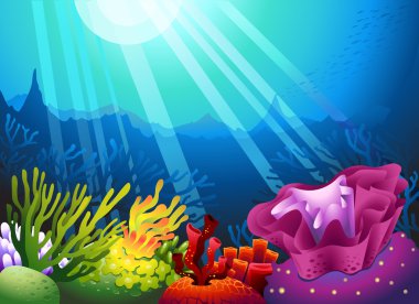 Deniz yosunu ve güneş