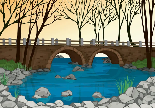Doğada köprü — Stok Vektör
