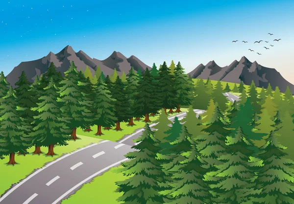 Road in beautiful nature — Stock Illustration Road in beautiful nature Stock Illustration
