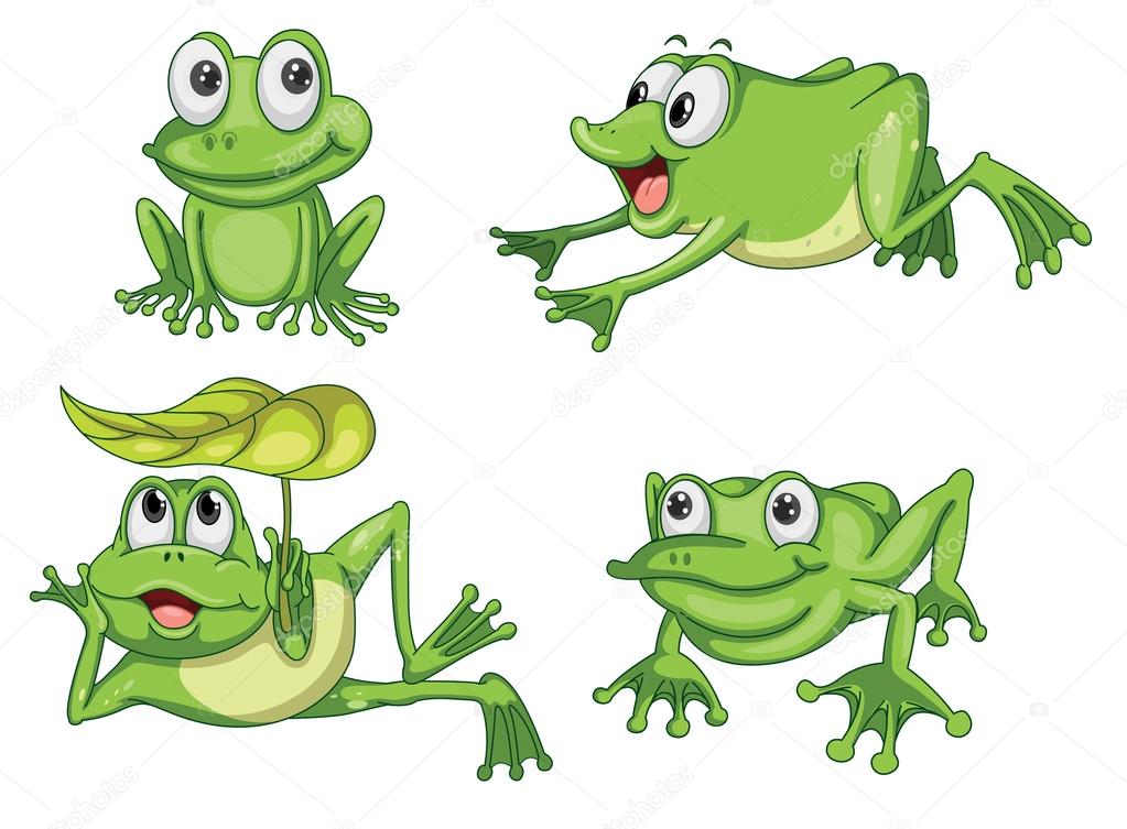 Żaba Vector Art Stock Images | Depositphotos