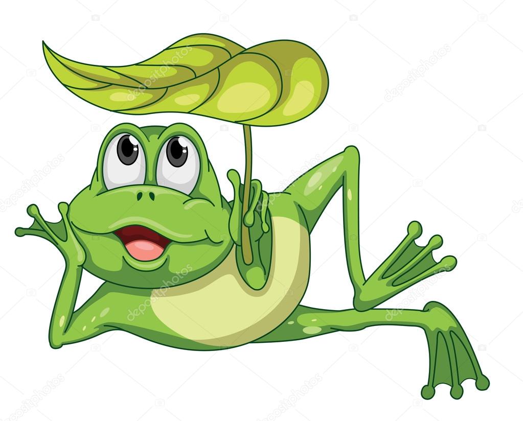 green frog and leaf