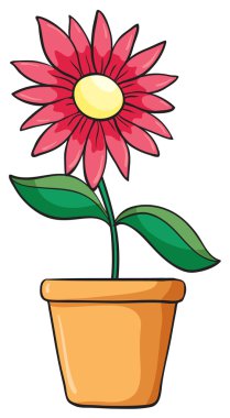 çiçek bitki pot