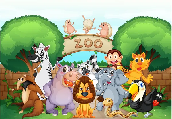Zoo und Tiere — Stockvektor
