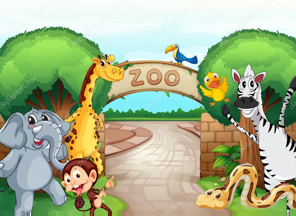 a zoo and the animals