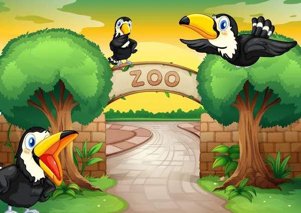 Zoo und Vögel — Stockvektor