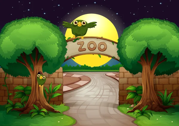 A zoo and owls — Stock Vector