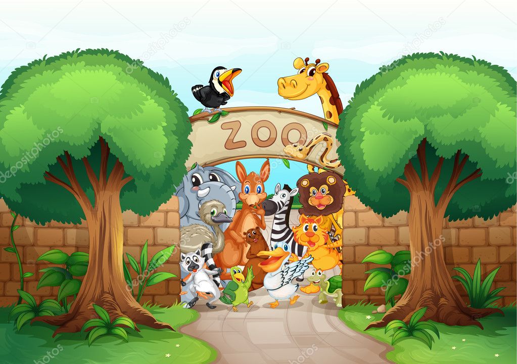 a zoo and animals