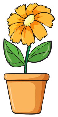 Mavi çiçek ve bitki