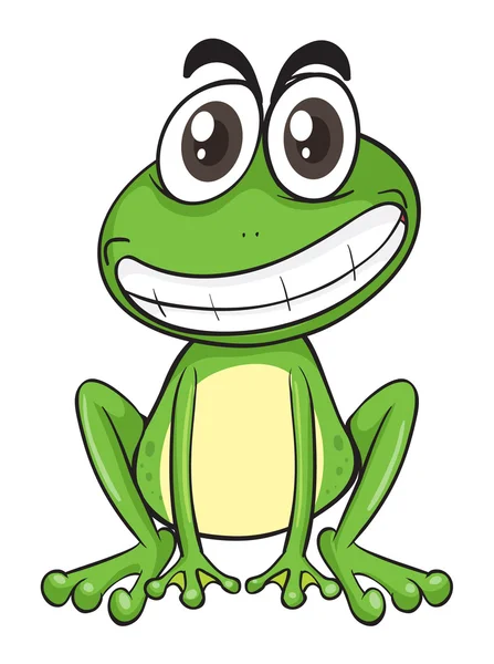 A frog — Stock Vector