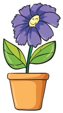 Mavi çiçek ve pot
