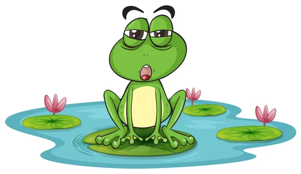 Ein Frosch und ein Wasser — Stockvektor