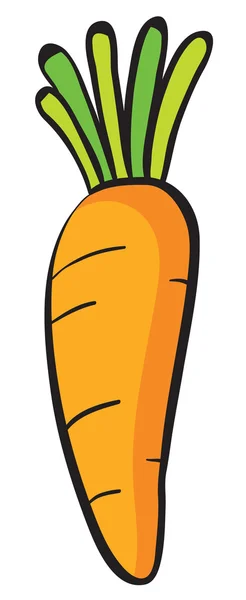Una zanahoria — Vector de stock