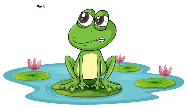 A frog and a water — Stock Vector