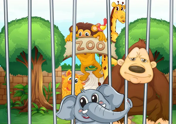 Зоопарк и животных — стоковый вектор
