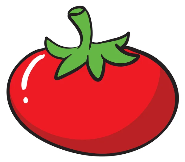 Un tomate — Vector de stock