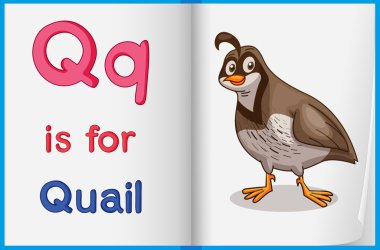 kelime öğrenme sayfası