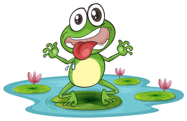 A frog and a water — Stock Vector