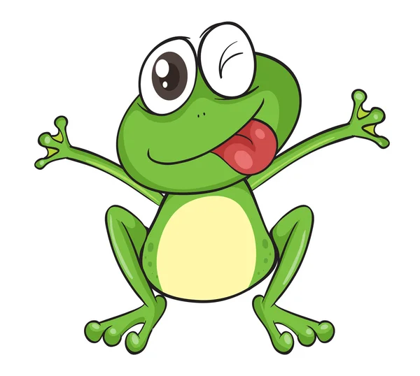 A frog — Stock Vector