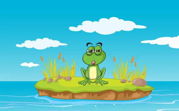 一只青蛙和水 — 图库矢量图片