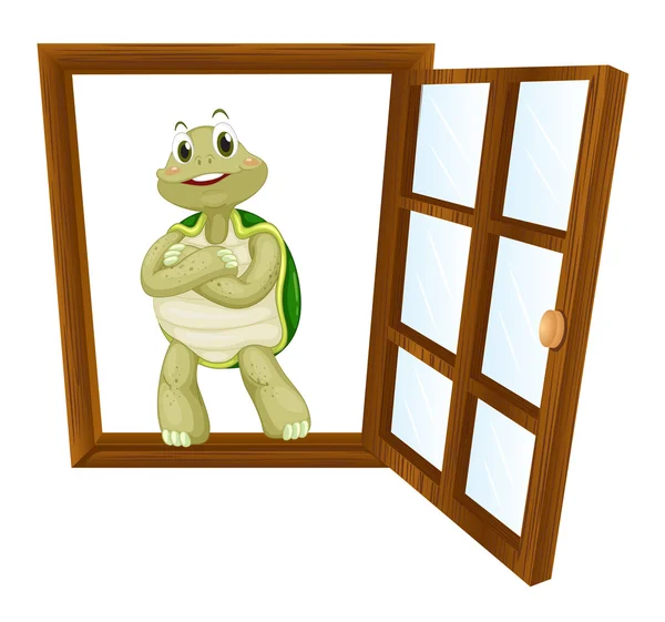 Eine Schildkröte im Fenster — Stockvektor