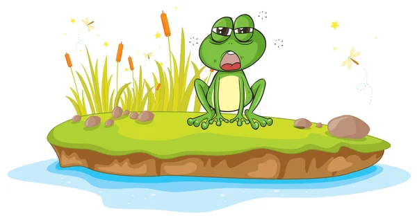 A frog and a water — Stock Vector