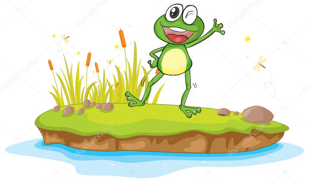 a frog and a water