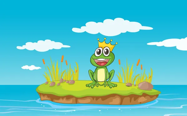 A frog and a water — Stock Vector