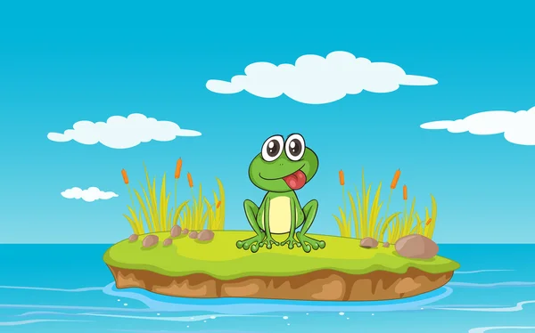 Bir kurbağa ve bir su — Stok Vektör