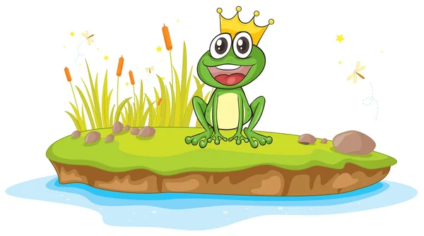 A frog and a water — Stock Vector