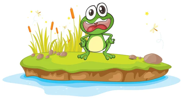 A frog and a water — Stock Vector