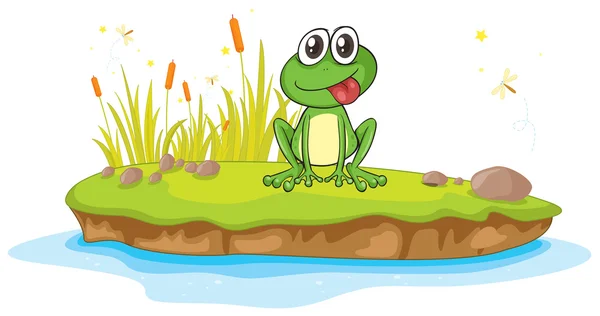 A frog and a water — Stock Vector