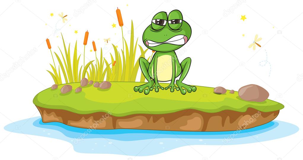 a frog and a water