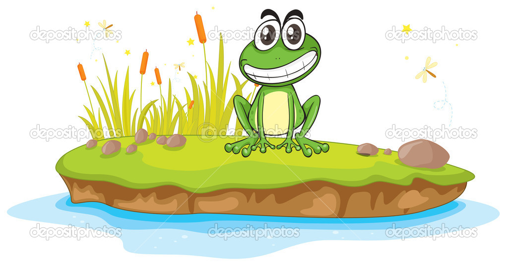 a frog and a water