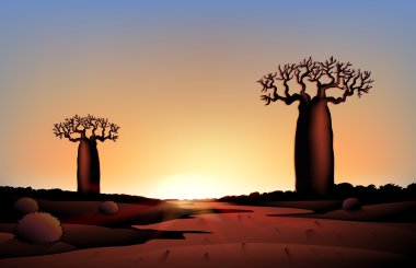 Geceleri Afrika doğa