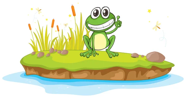 A frog and water — Stock Vector