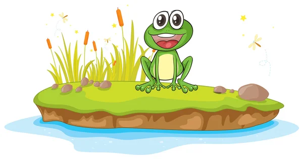 一只青蛙和水 — 图库矢量图片