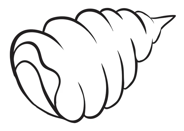 Un bosquejo de concha — Vector de stock