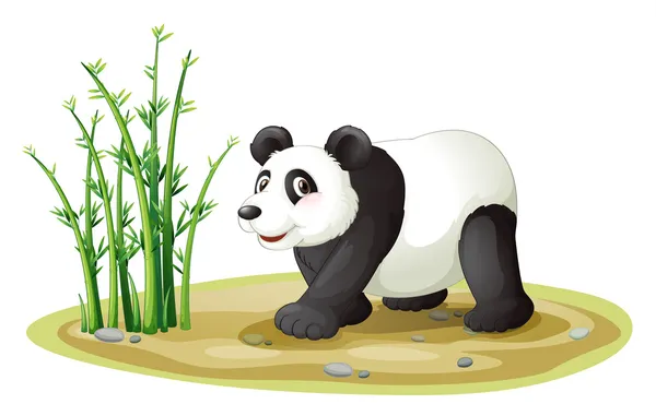 Un panda — Vector de stock