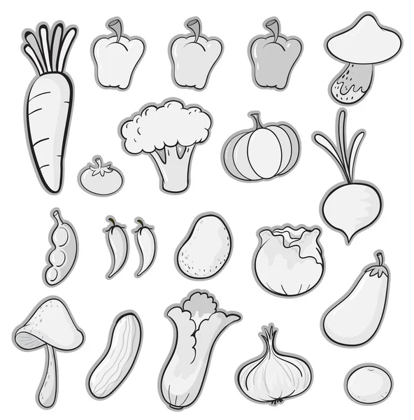 Různé zelenina — Stockový vektor