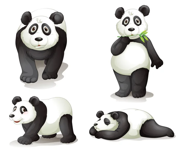 Een panda — Stockvector