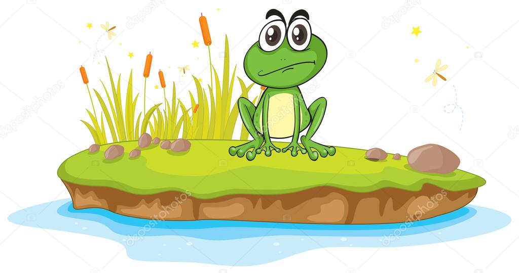 a frog and a water