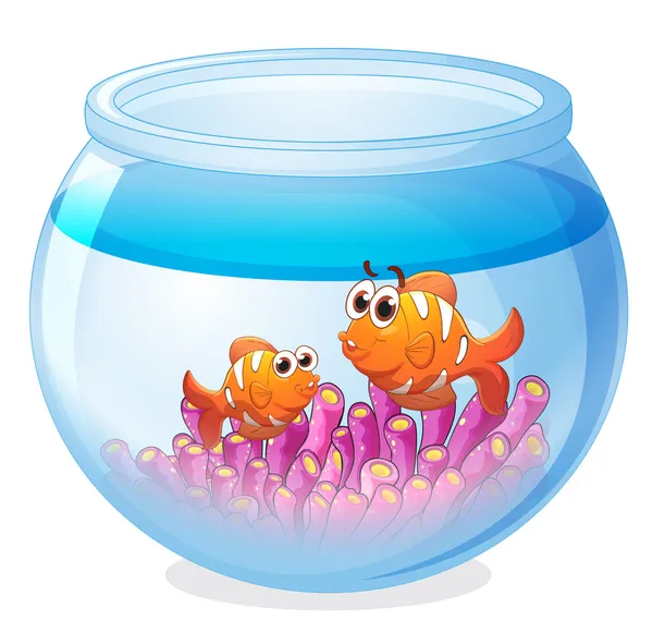 A water bowl and a fish — Stock Vector