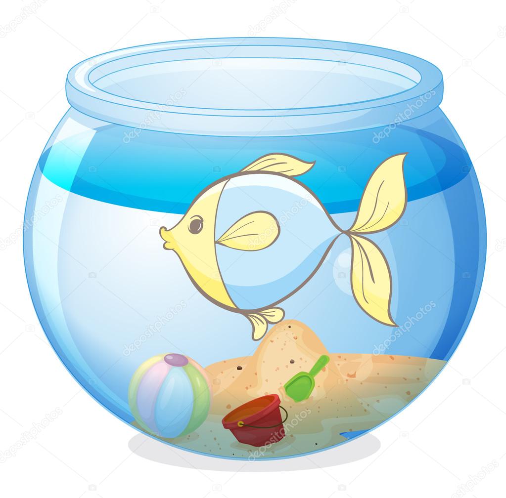 a water bowl and a fish