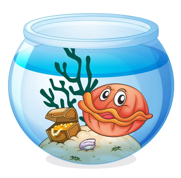 A water bowl and a shell fish — Stock Vector