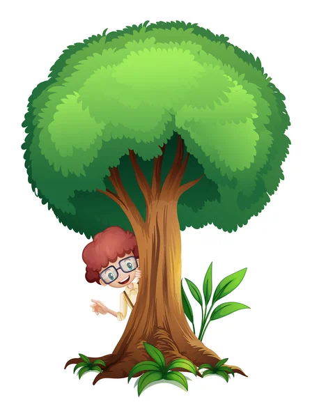 A boy and a tree — Stock Vector