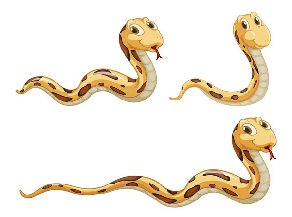 Змеи — стоковый вектор
