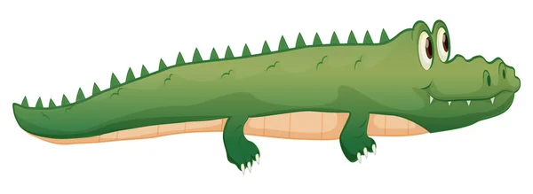 Ein Krokodil — Stockvektor