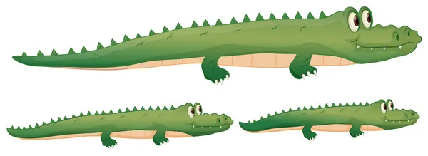 En krokodil — Stock vektor