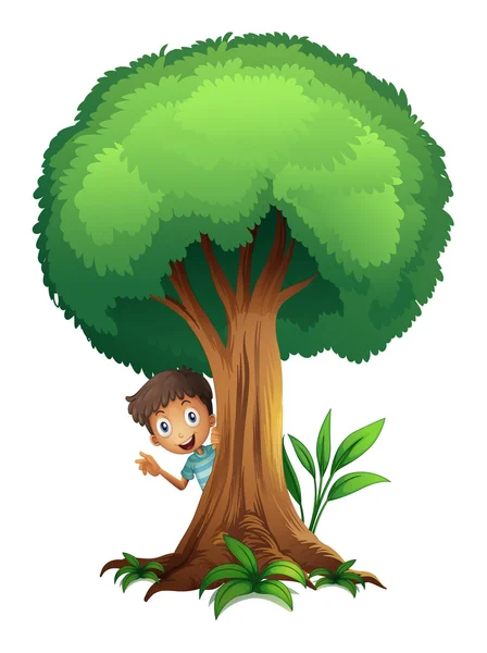 Um menino e uma árvore — Vetor de Stock